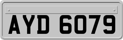 AYD6079