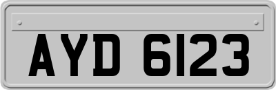 AYD6123
