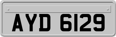 AYD6129