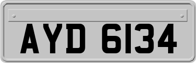 AYD6134
