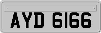 AYD6166