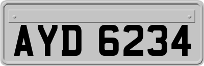 AYD6234