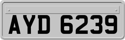 AYD6239