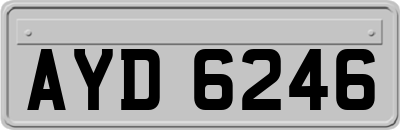 AYD6246