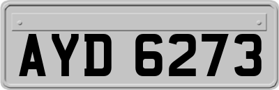 AYD6273
