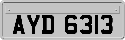 AYD6313