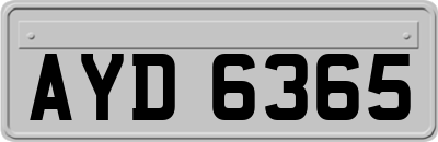 AYD6365