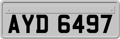 AYD6497