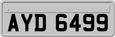 AYD6499