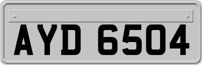 AYD6504