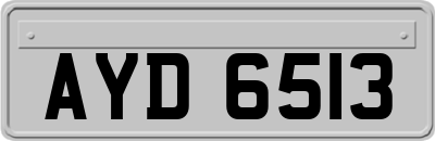 AYD6513