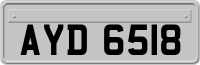 AYD6518