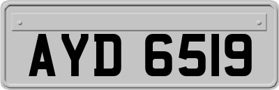 AYD6519