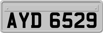 AYD6529
