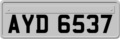 AYD6537