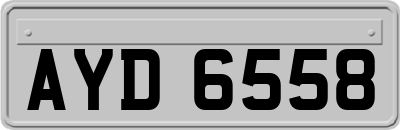 AYD6558