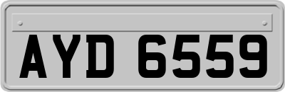 AYD6559