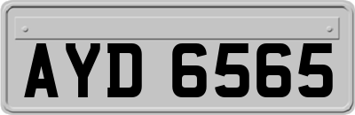 AYD6565