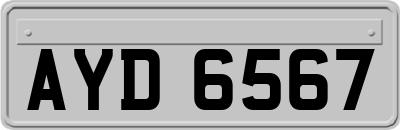 AYD6567