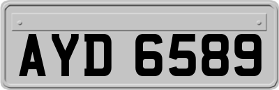 AYD6589