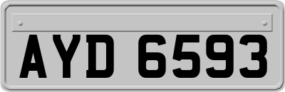 AYD6593