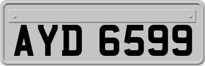 AYD6599