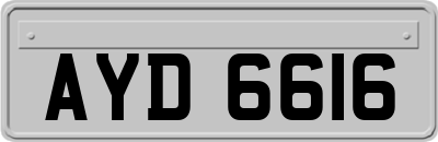 AYD6616