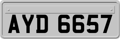AYD6657