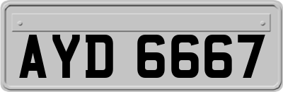 AYD6667