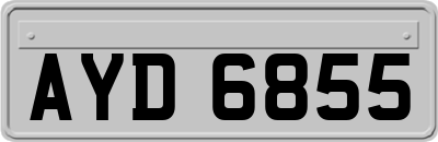 AYD6855