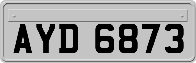 AYD6873
