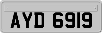 AYD6919