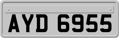 AYD6955