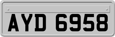 AYD6958