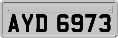 AYD6973