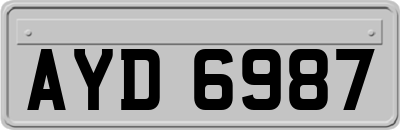 AYD6987