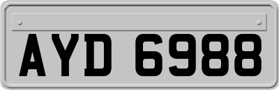 AYD6988