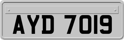 AYD7019