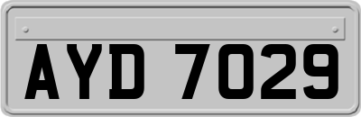 AYD7029