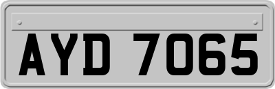 AYD7065