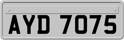 AYD7075