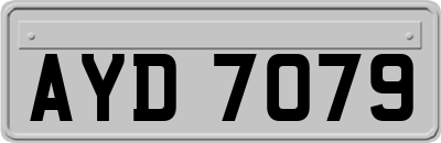AYD7079