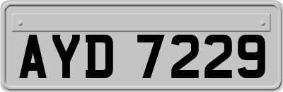 AYD7229