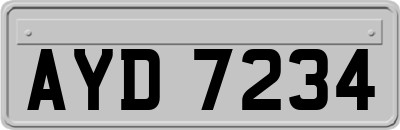 AYD7234