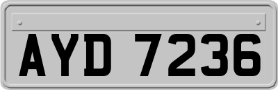 AYD7236