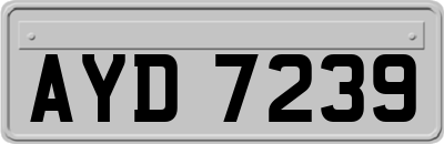 AYD7239