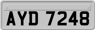 AYD7248