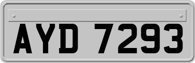 AYD7293