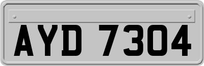 AYD7304