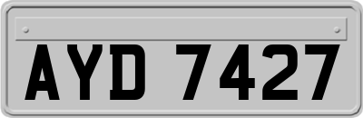 AYD7427